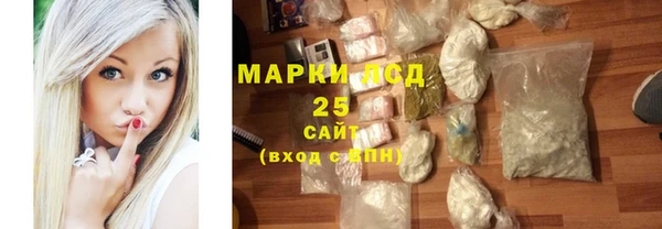 PSILOCYBIN Алзамай