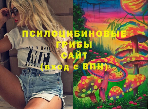 дурь Алексеевка