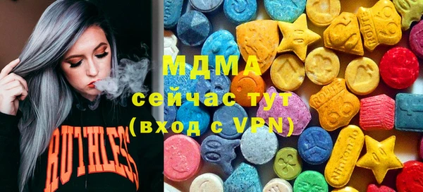 PSILOCYBIN Алзамай