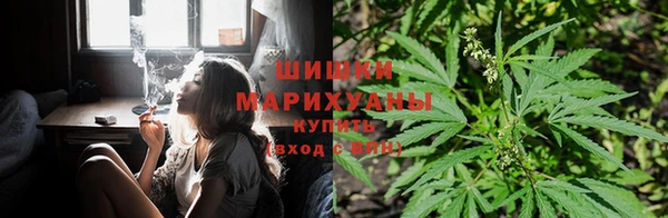 стафф Абаза