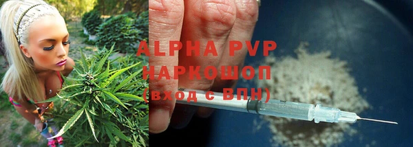 PSILOCYBIN Алзамай